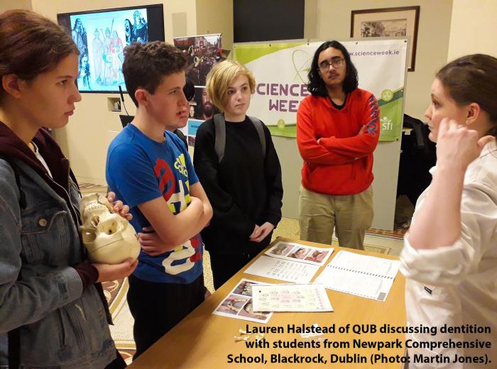 Lauren Halstead of QUB discussing dentition with students from Newpark Comprehensive School, Blackrock, Dublin (Photo: Martin Jones)