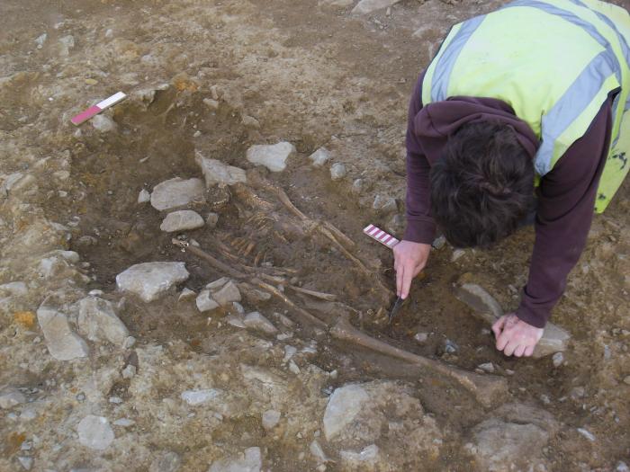The isolated adult female burial at Mullanstown 1 during excavation.
