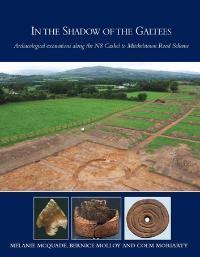 Cover of book entitled In the Shadow of the Galtees