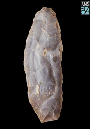Flint blade unearthed by archaeologists from a prehistoric timber building in Lugatober townland [photo courtesy of AMS]