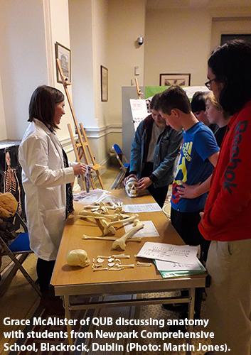 Grace McAlister of QUB discussing anatomy with students from Newpark Comprehensive School, Blackrock, Dublin (Photo: Martin Jones)