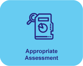 Appropriate Assessment