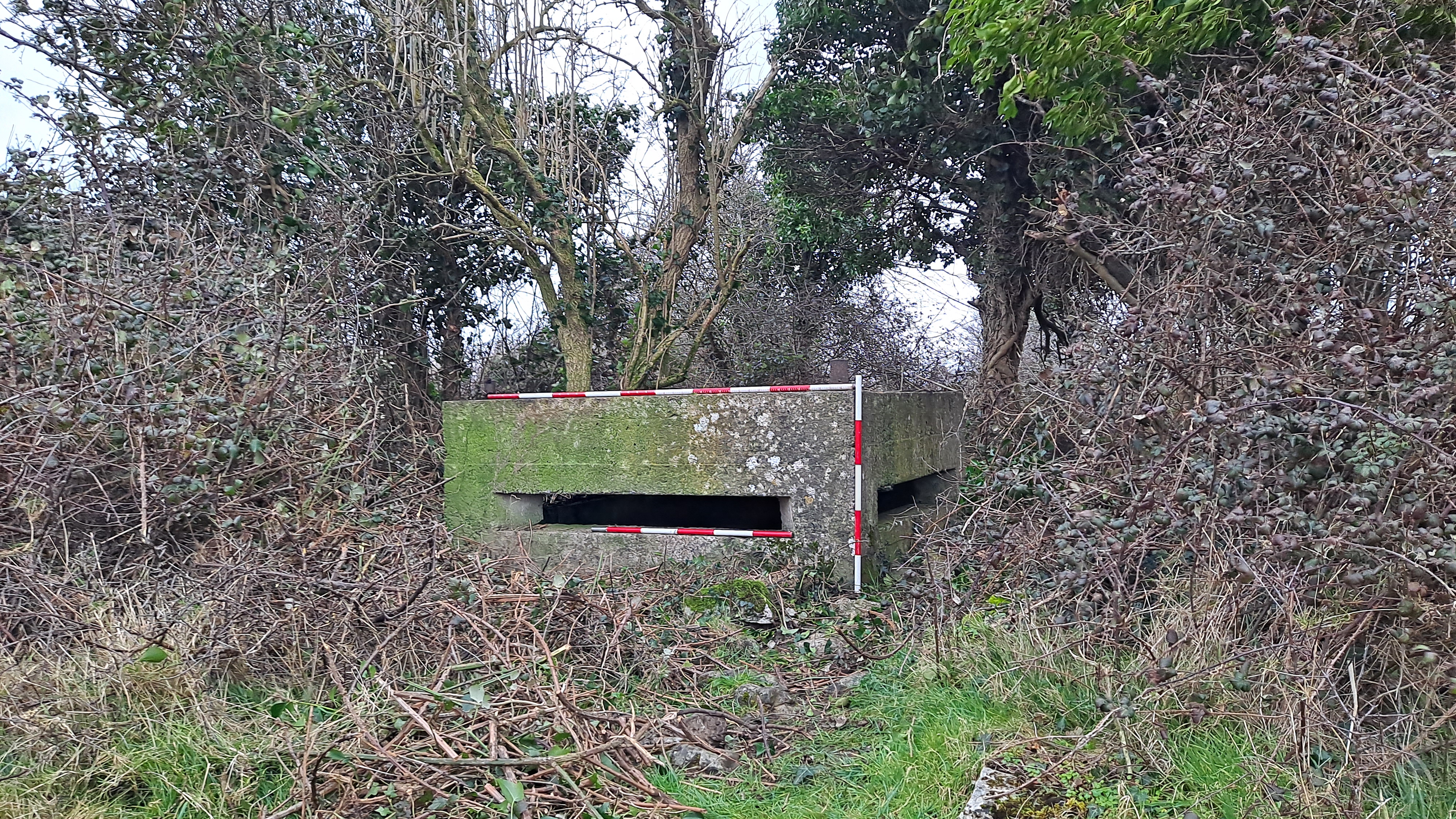 Illustration 2: Newly recorded sunken pillbox (PB16) in Askeaton (Photo: TII)