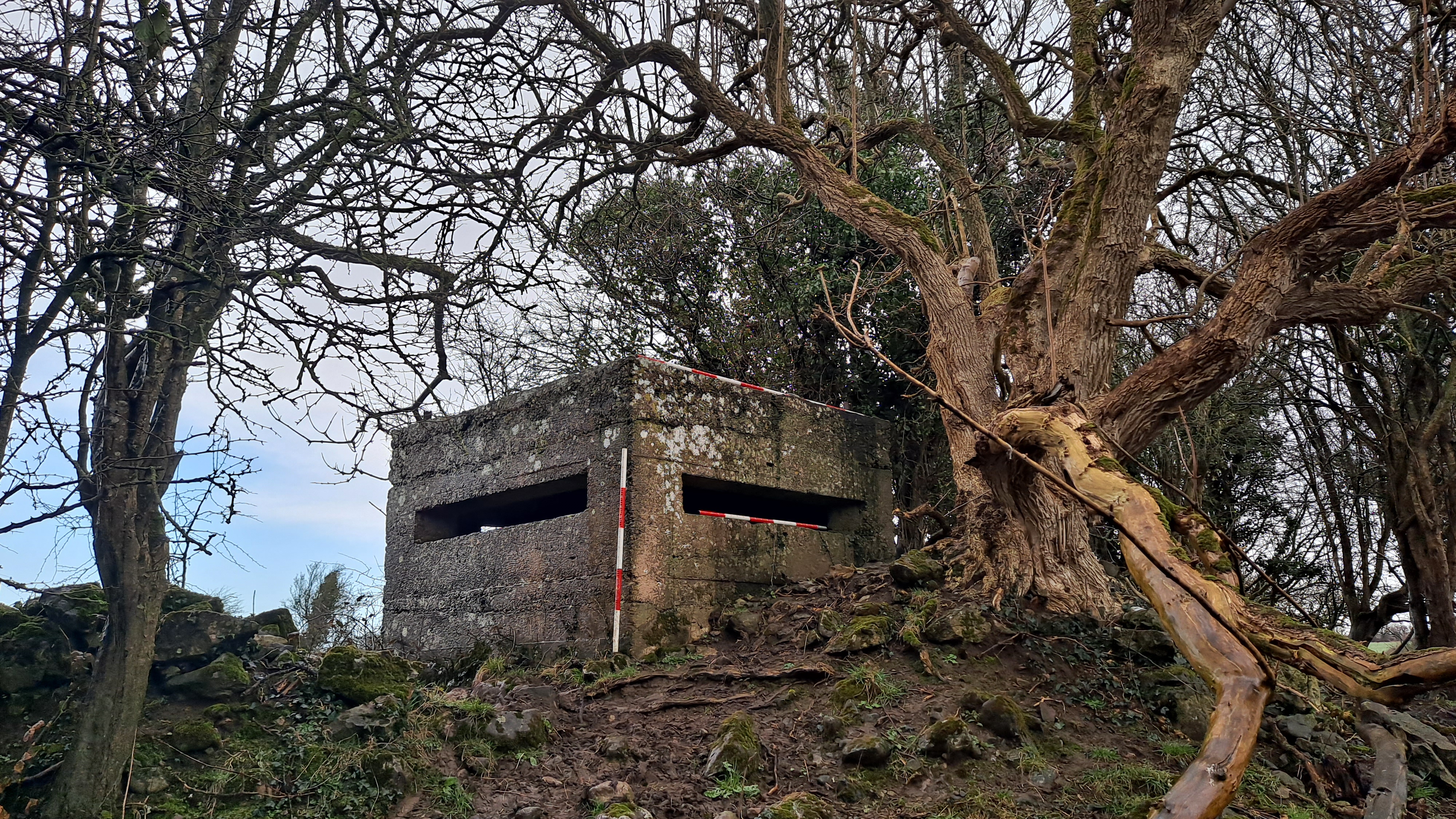 Illustration 3: Raised pillbox (PB25) in Moig South  (Photo: TII